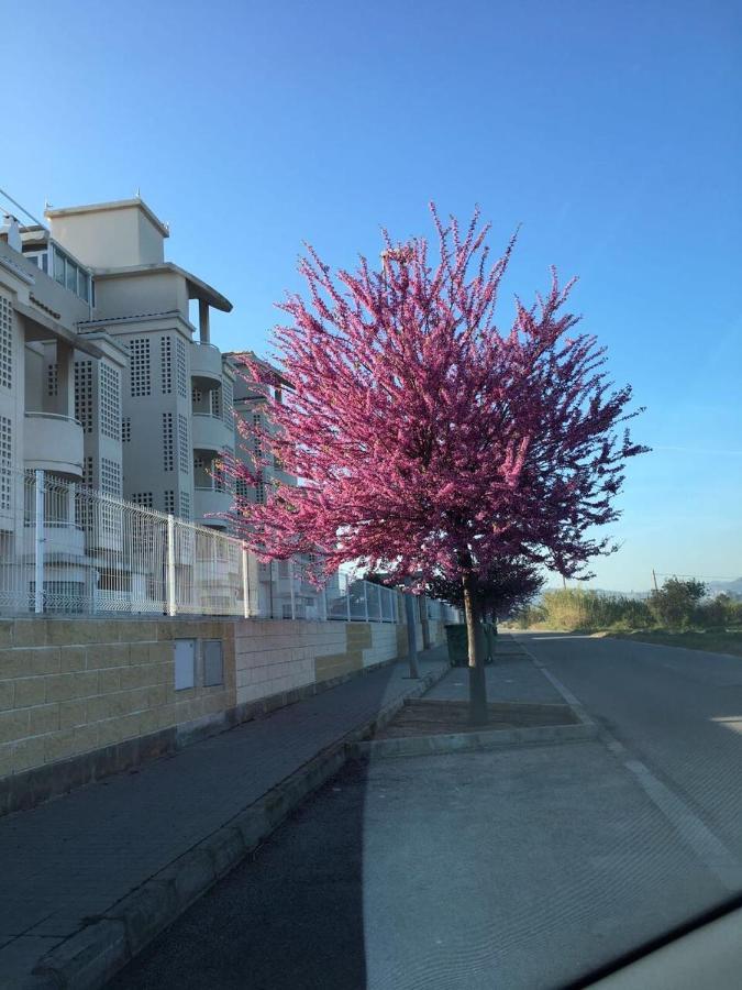 Planta Baja Playa Sol 2 Lägenhet Denia Exteriör bild
